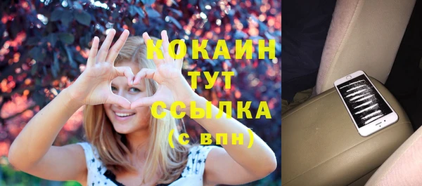 дмт Алексин