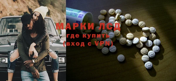 сатива Армянск