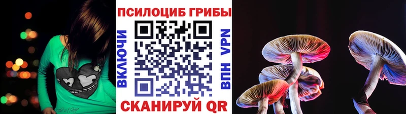Псилоцибиновые грибы прущие грибы  Когалым 